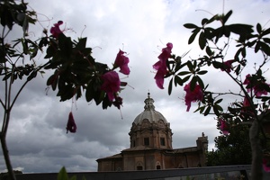 Rome Bloom